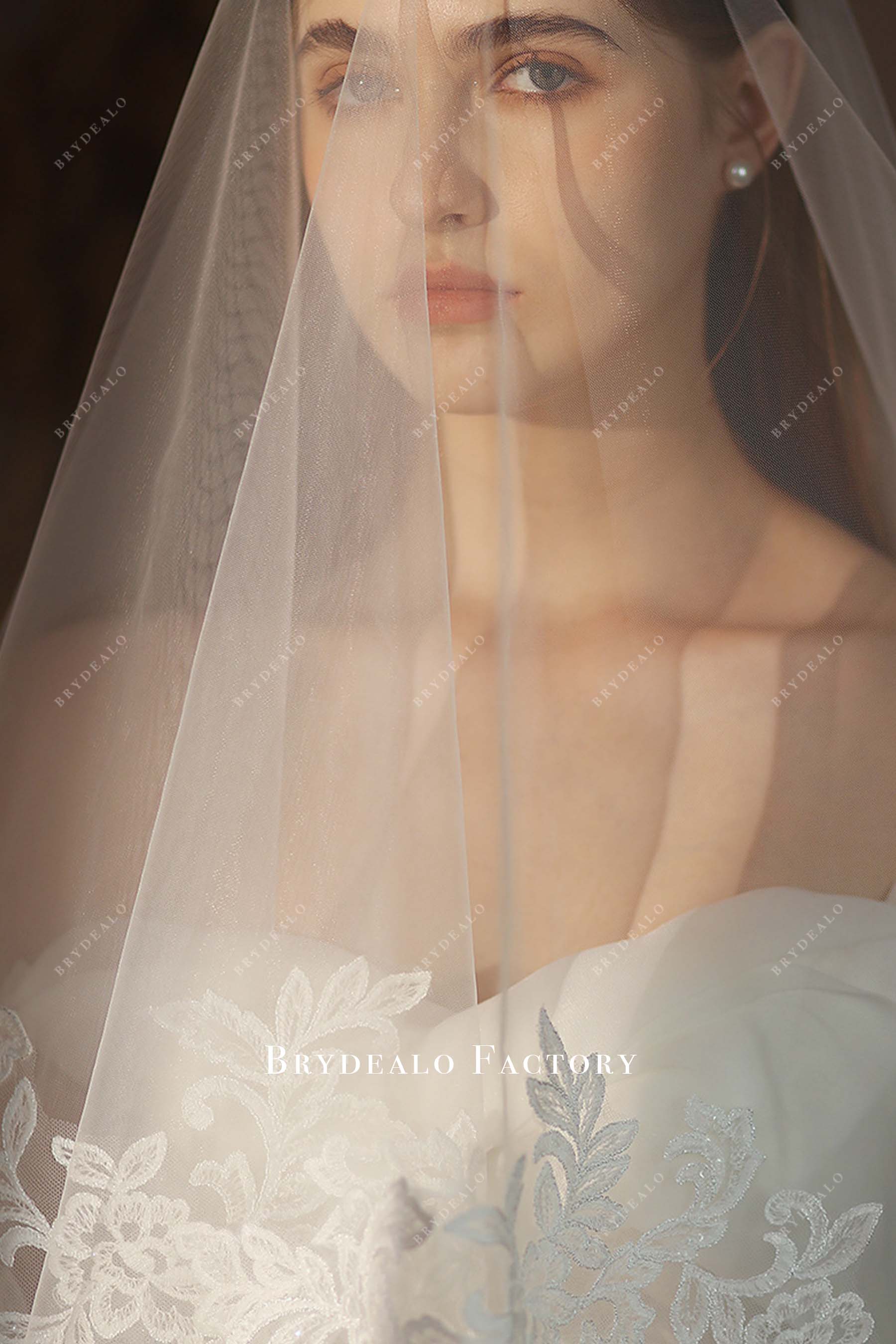 exquiste lace appliques wedding veil