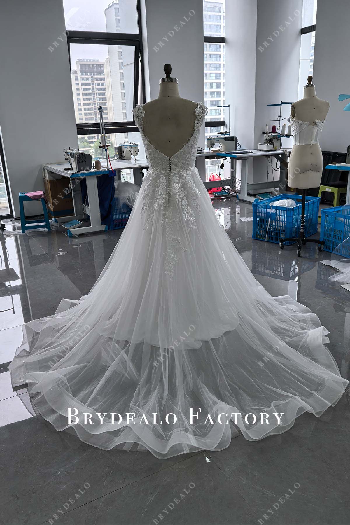 horsehair chapel train lace wedding dress
