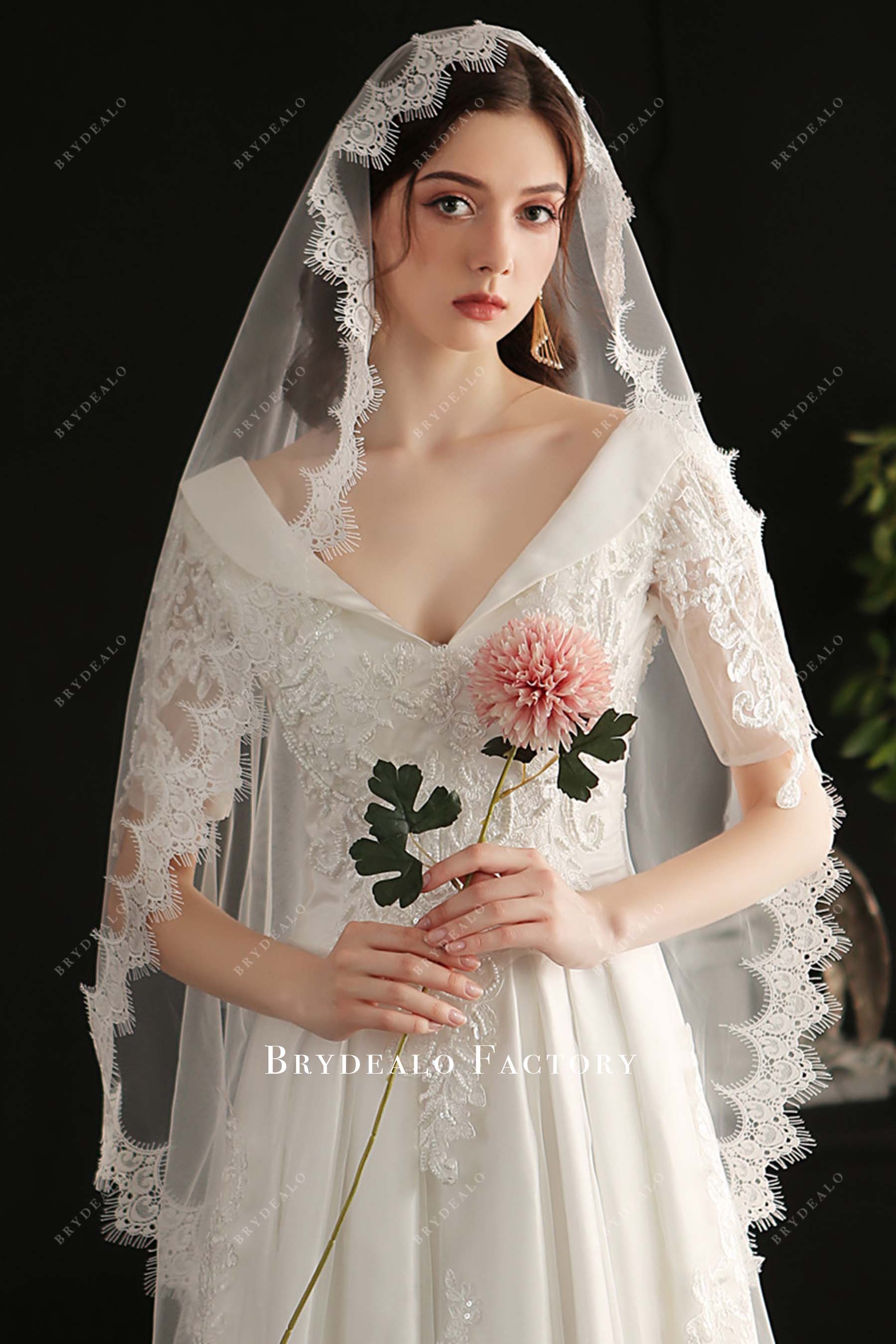 lace appliques bridal veil