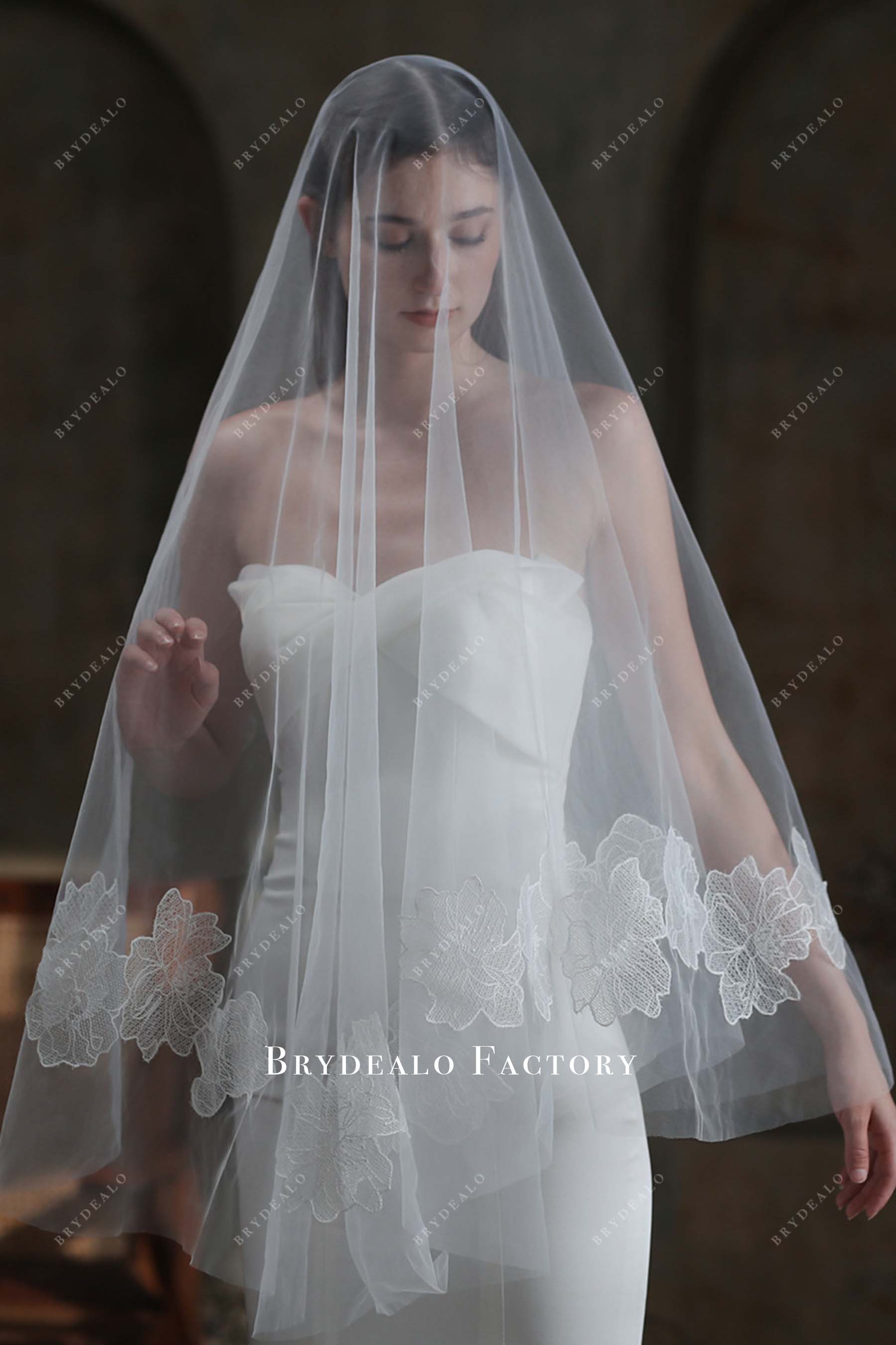 lace appliques bridal veil