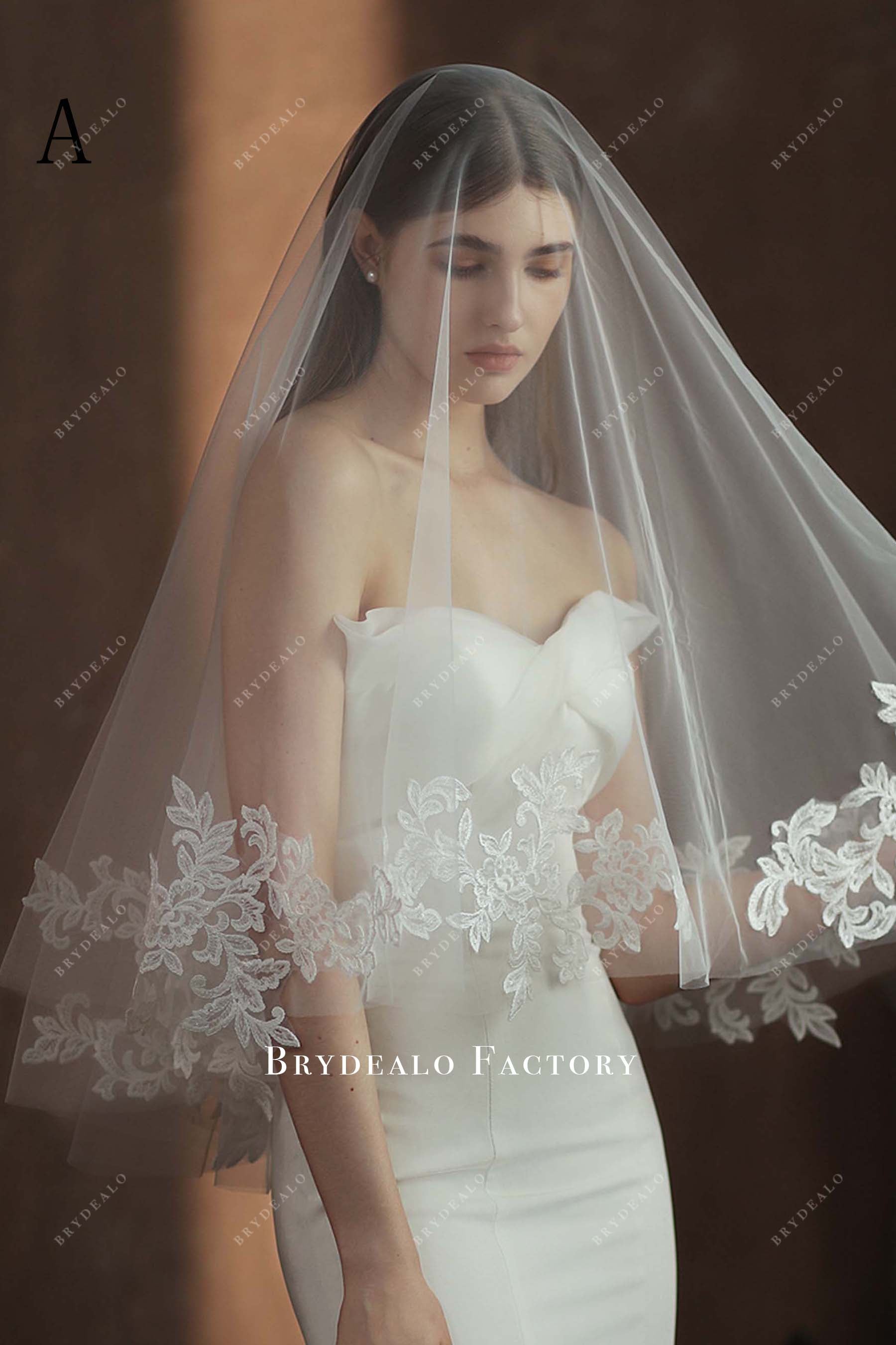 lace appliques edge bridal veil