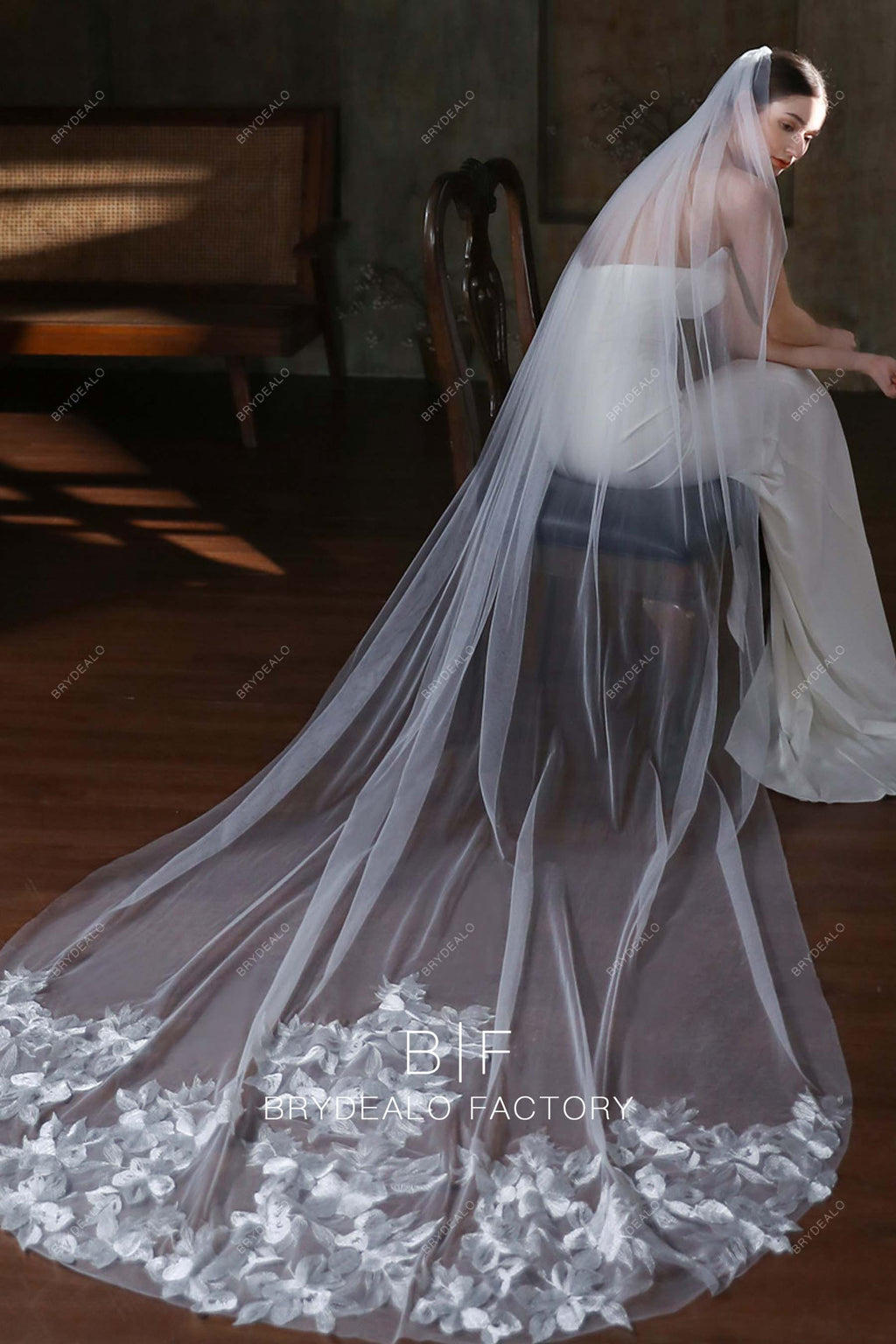 https://brydealofactory.com/cdn/shop/files/lace-cathedral-length-bridal-veil-08183.jpg?v=1697103519&width=1024