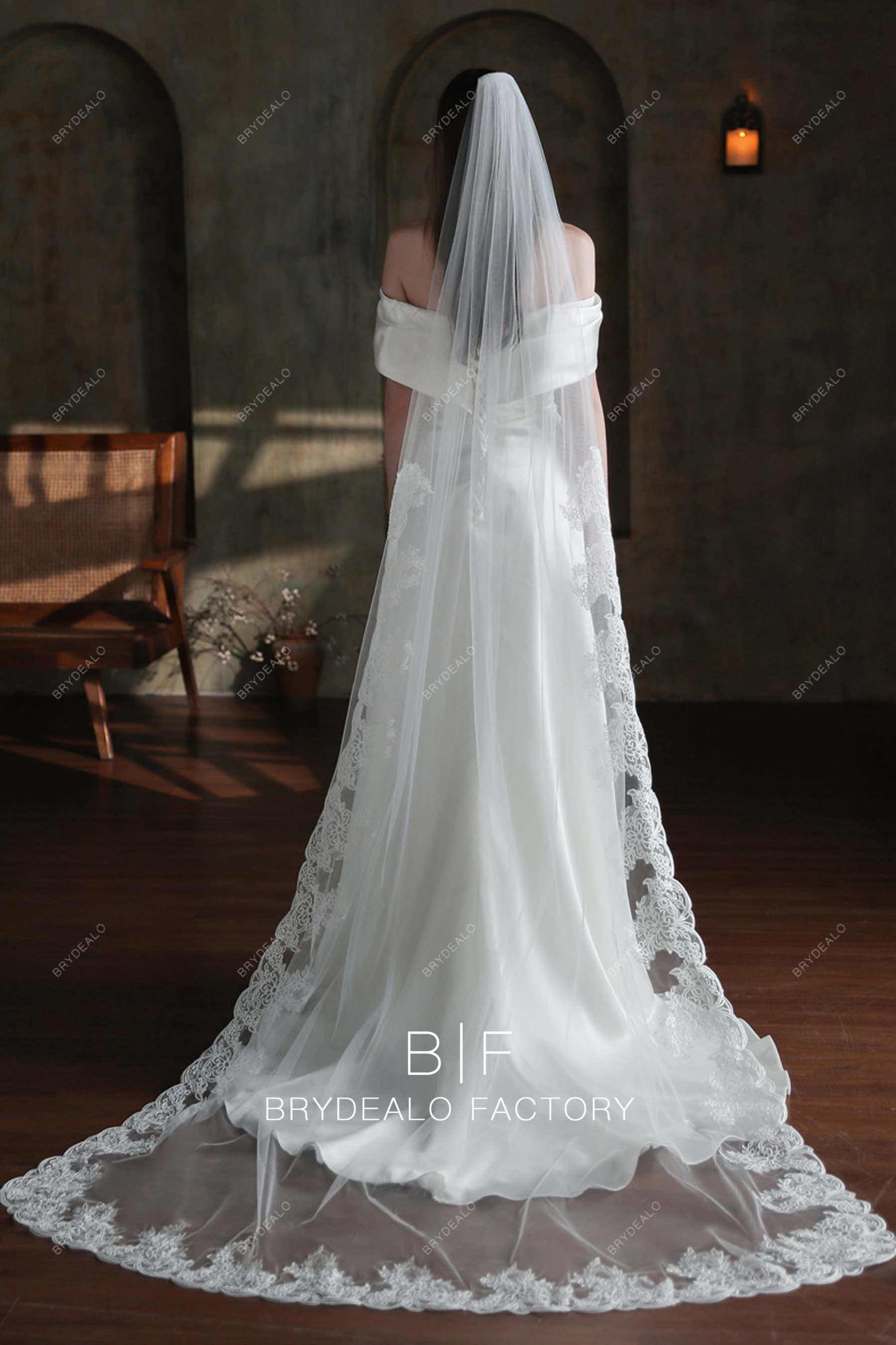 Elegant Lace One Tier Chapel Length Wedding Veil