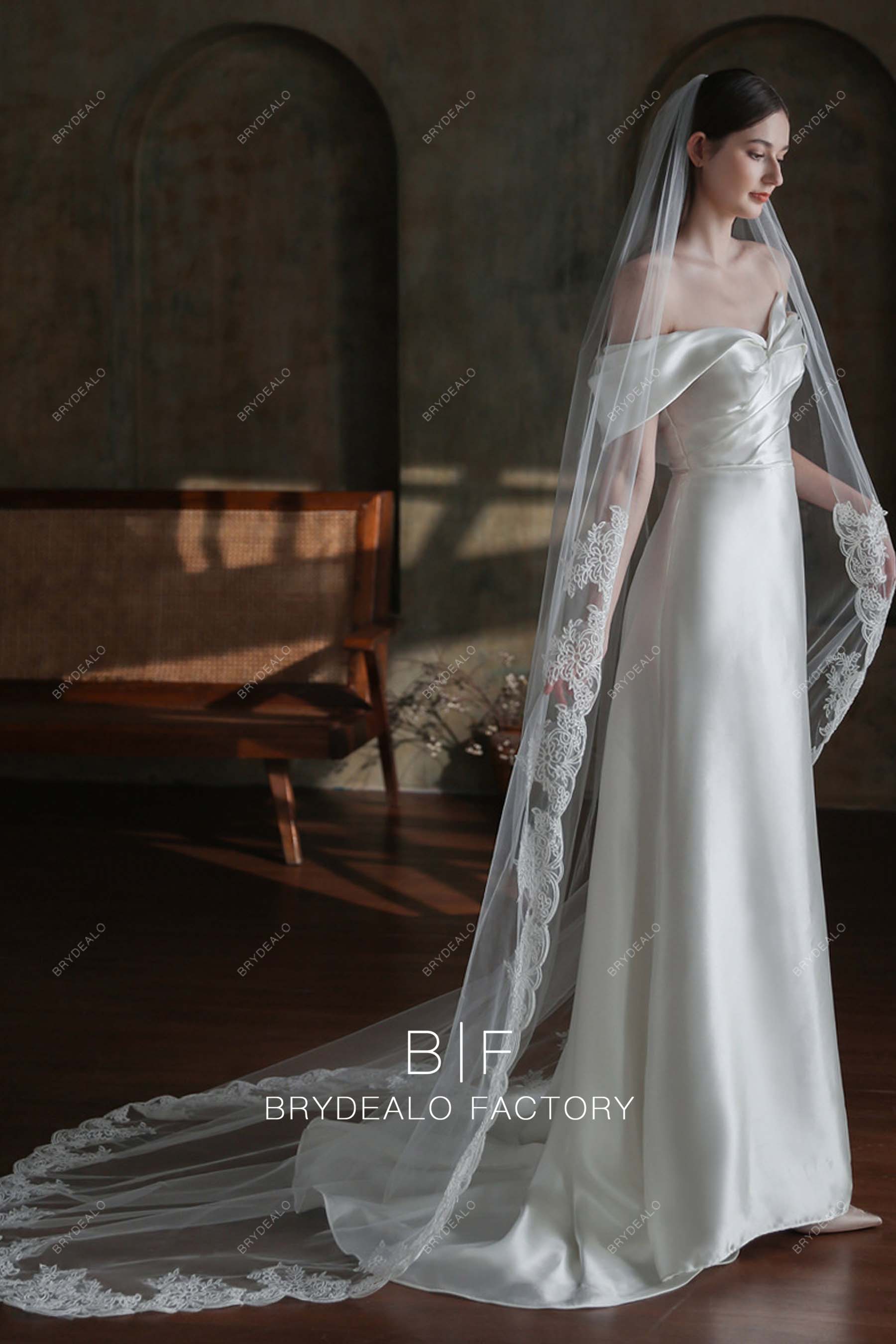 Elegant Lace Edged One Tier Chapel Length Bridal Veil
