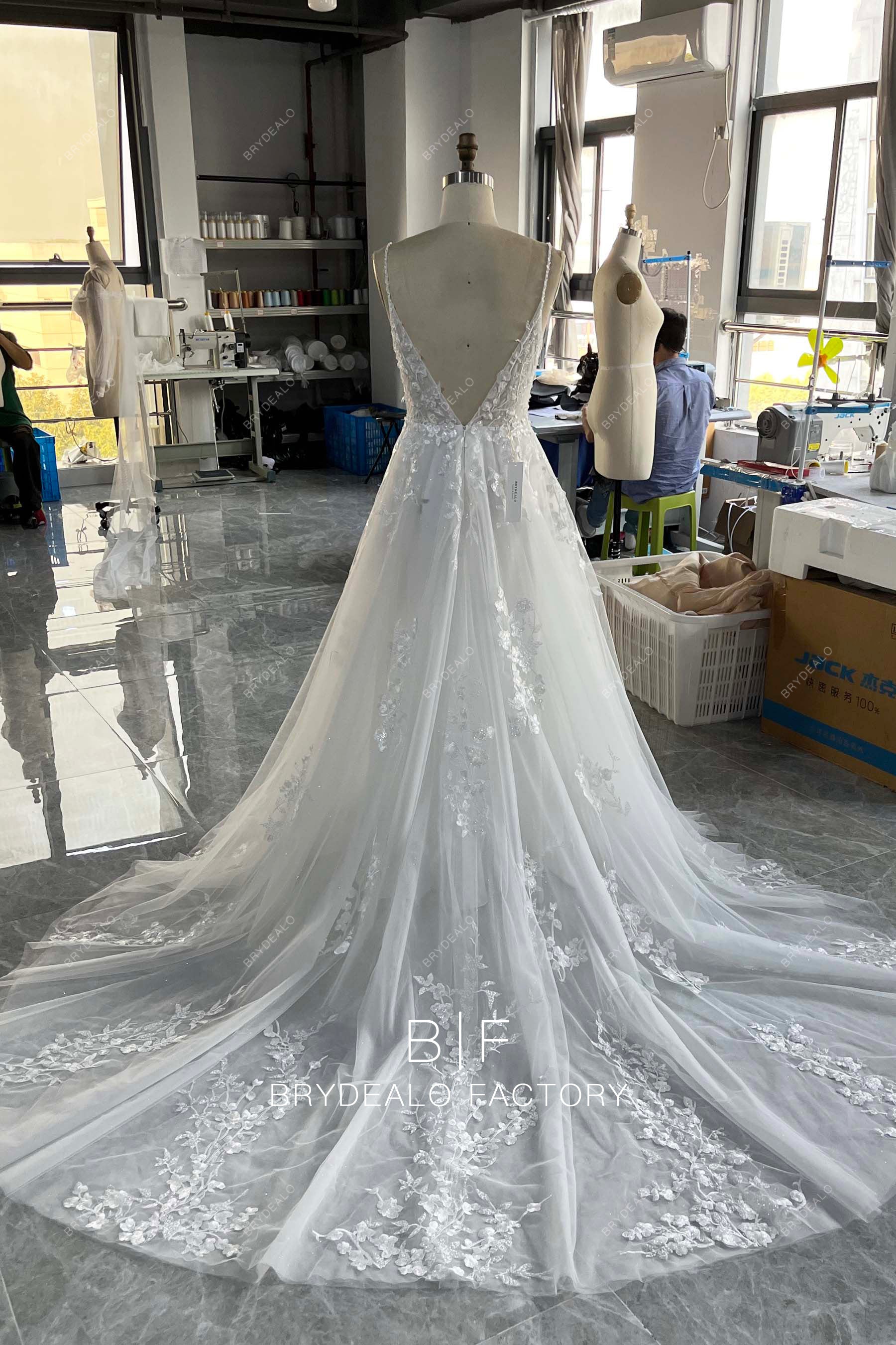 long train V-cut lace wedding dress