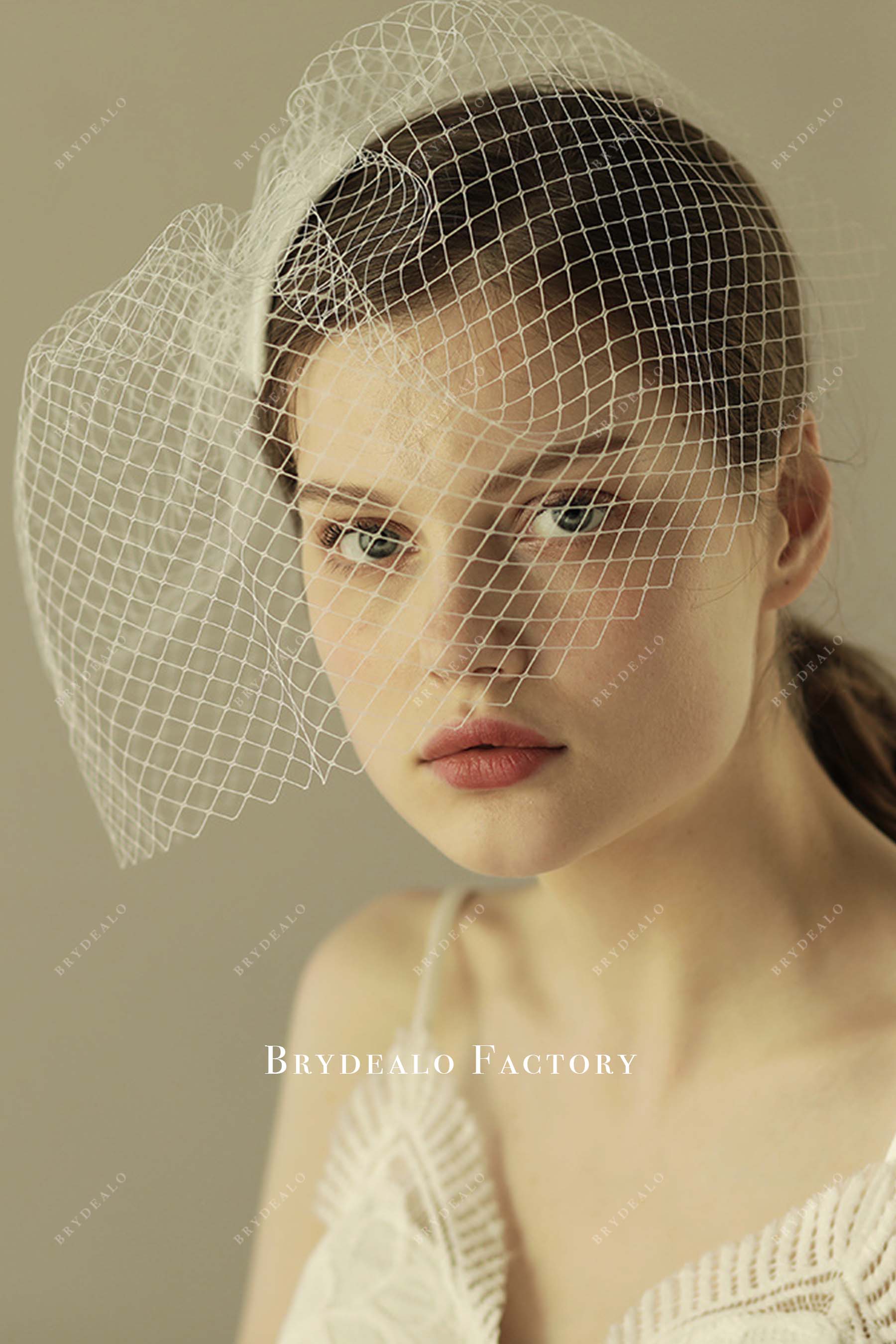 net birdcage bridal veil