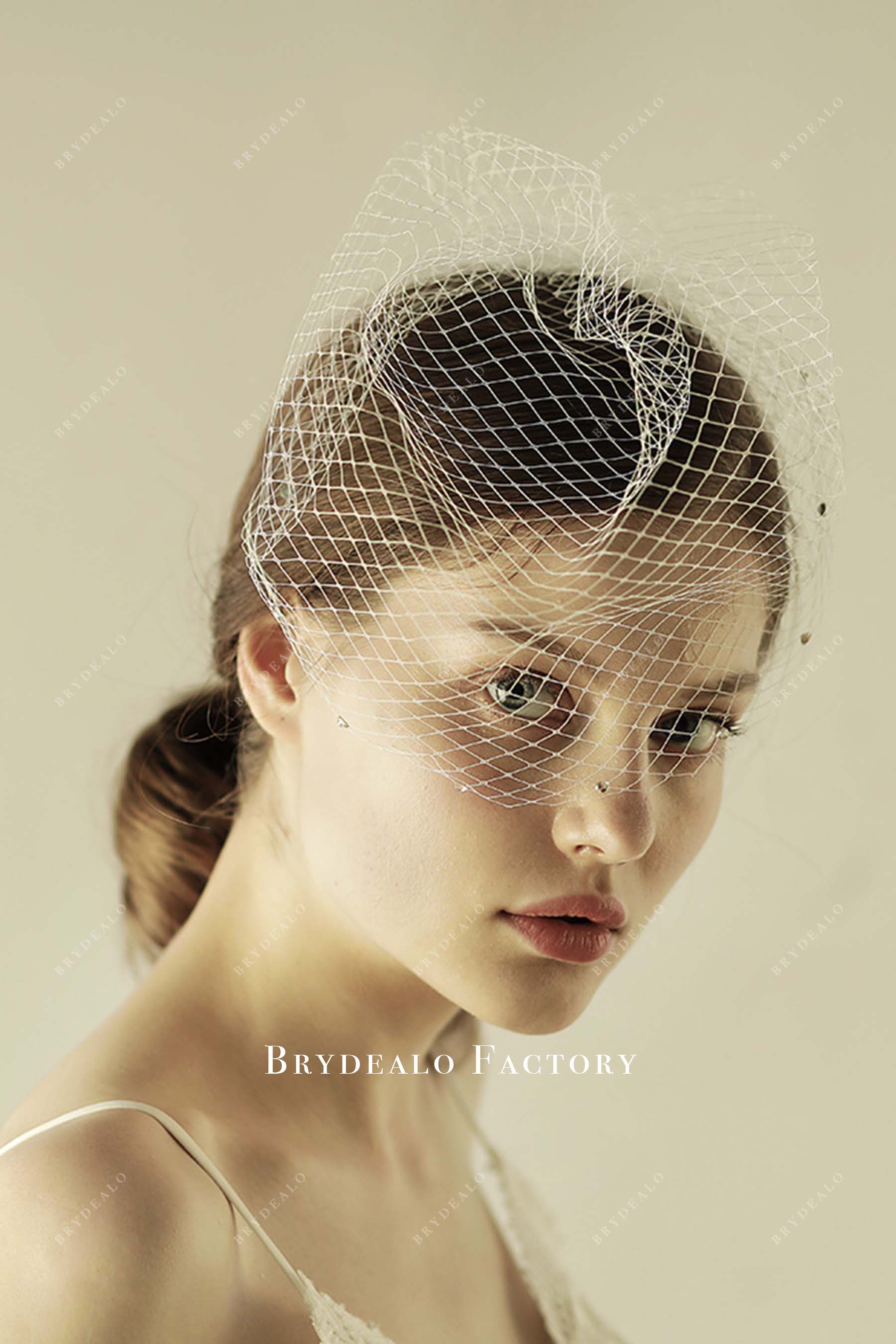 net birdcage bridal veil