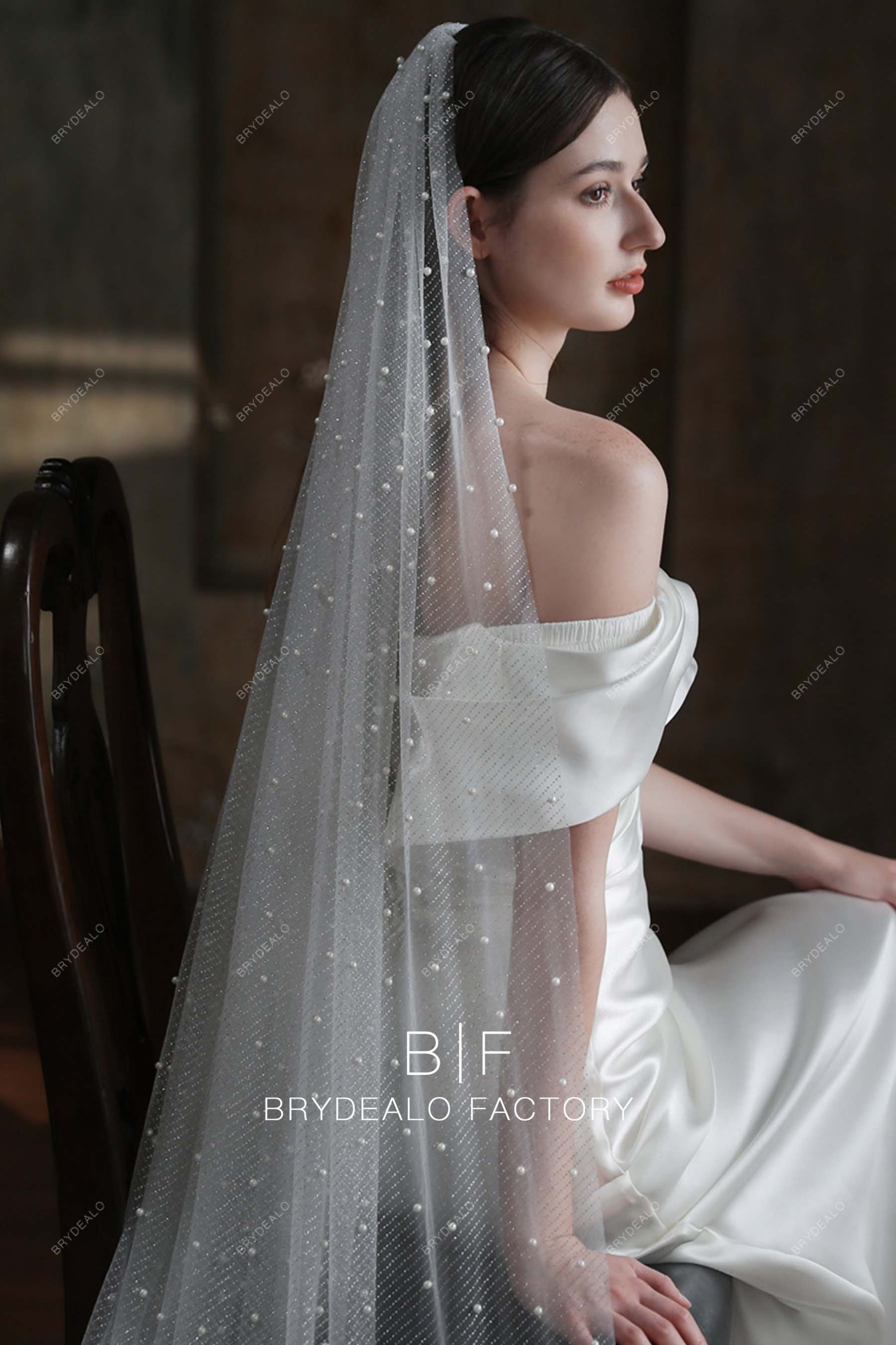 Elegant Pearls Scattered Silver Glitter Wedding Veil