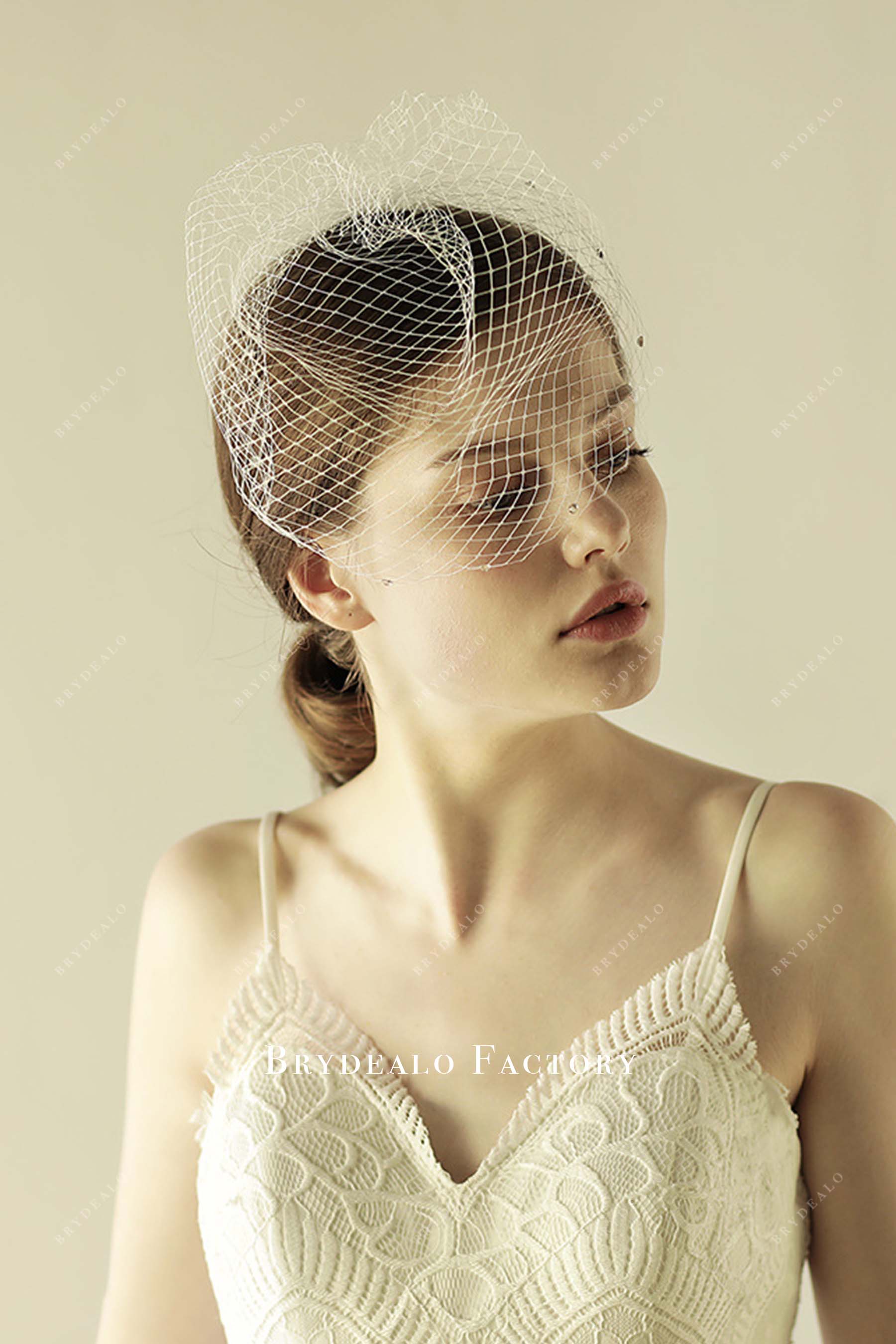 rhinestones net birdcage bridal veil