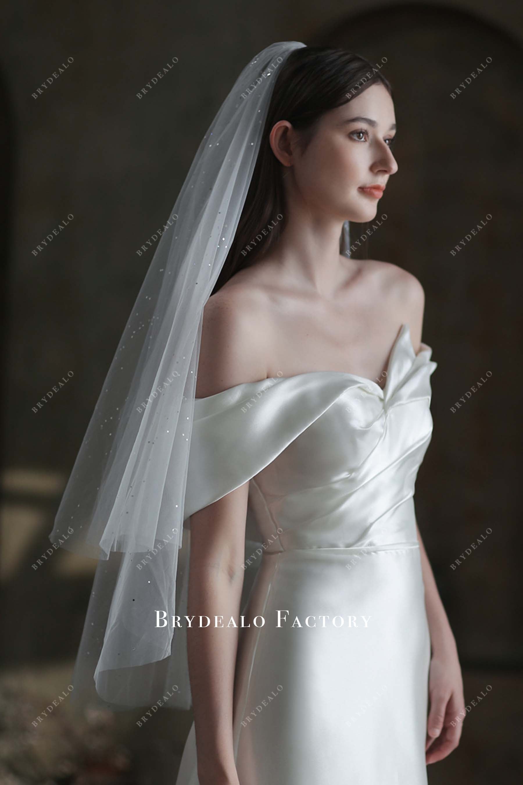 sequined bridal veil