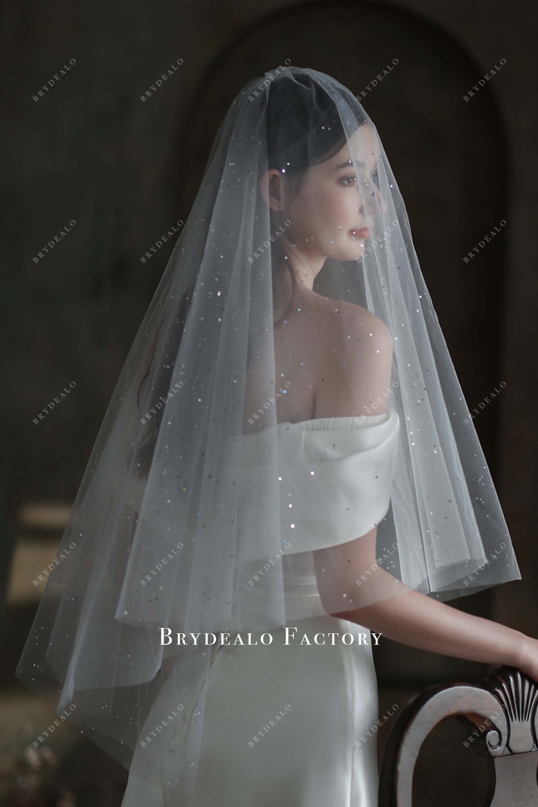 shimmery wedding veil