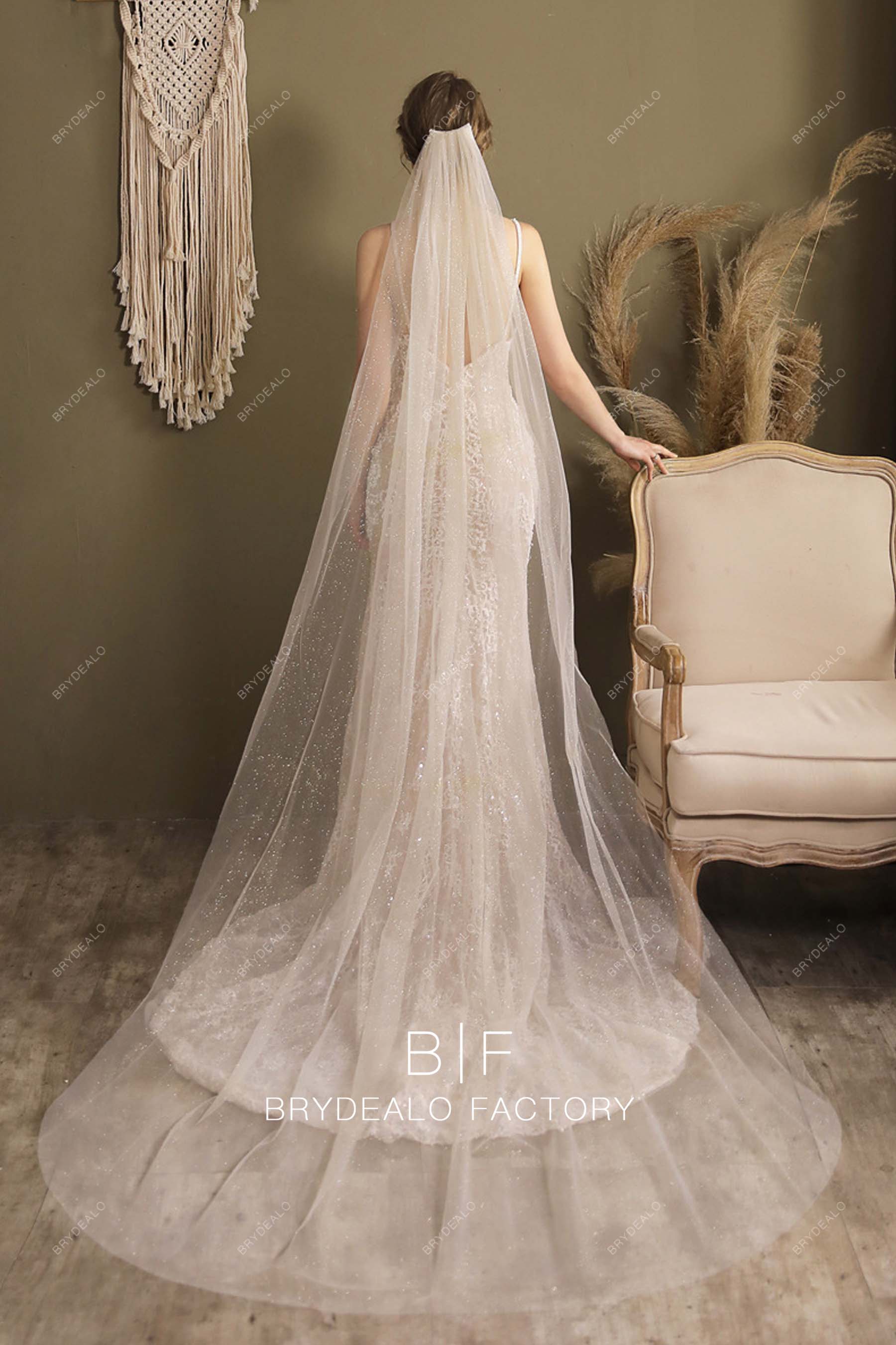 Silver Glitter Chapel Length Modern Bridal Veil
