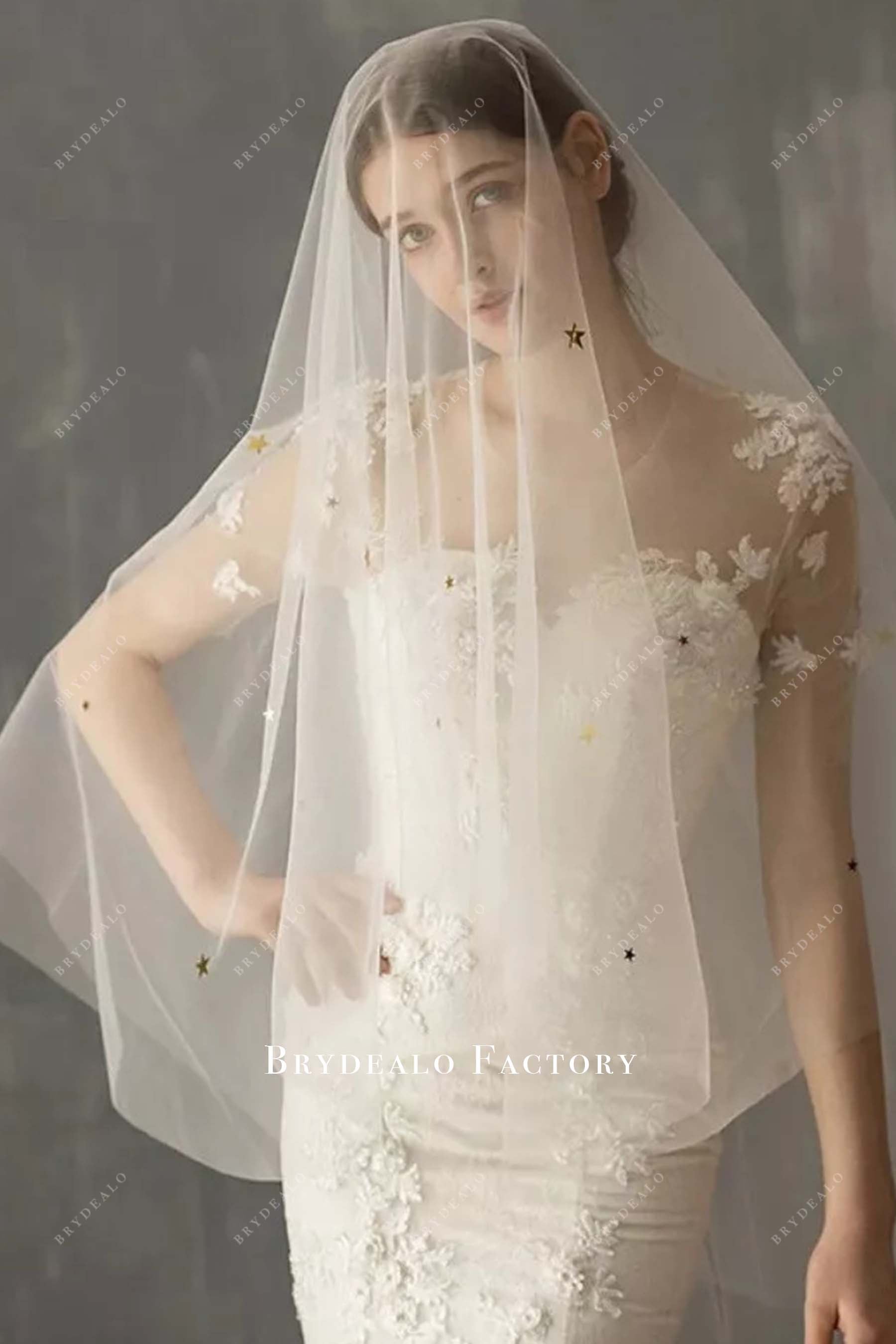 star tulle wedding veil