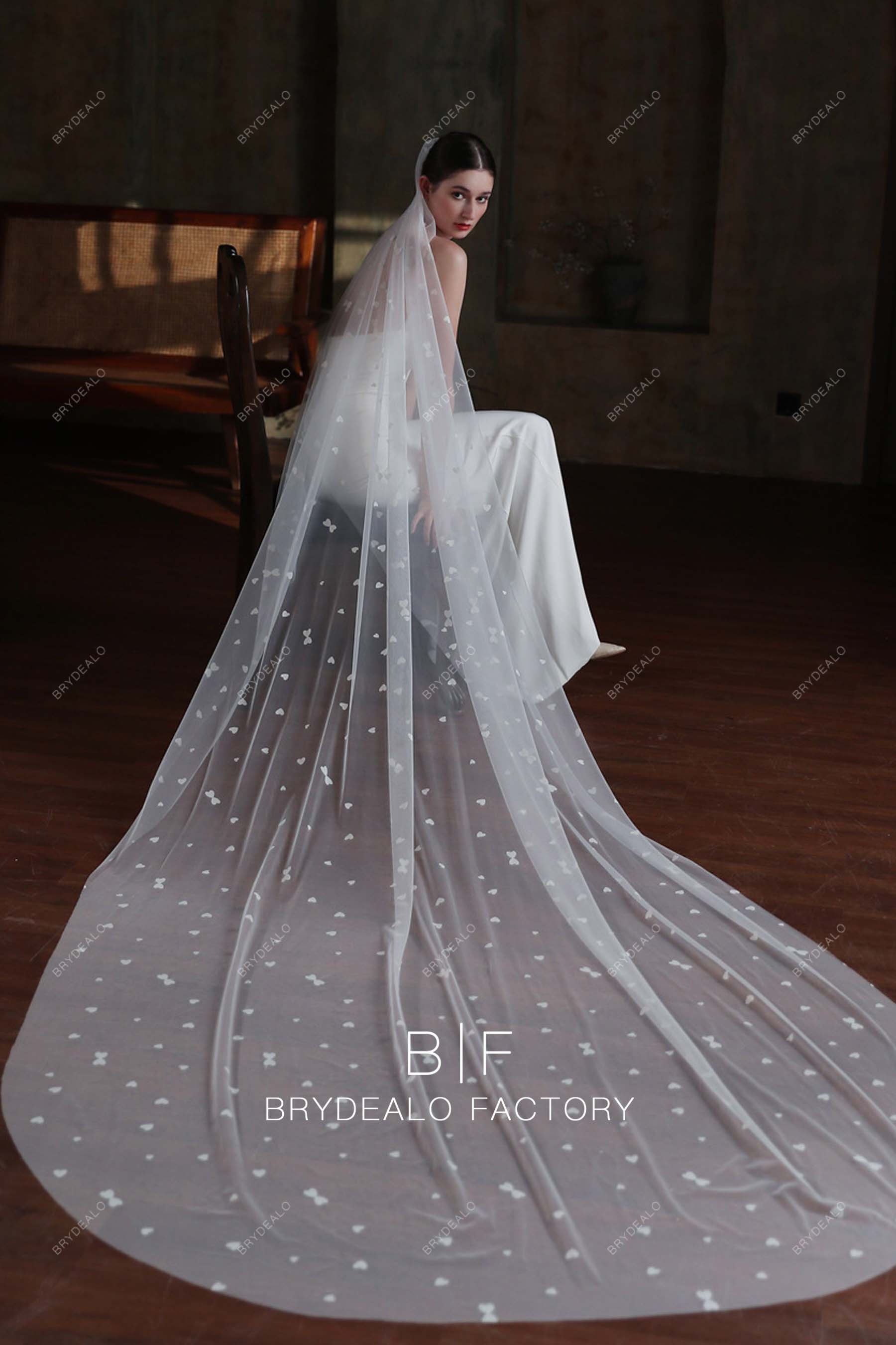Heart-shaped Accent Cathedral Length Bridal Veil