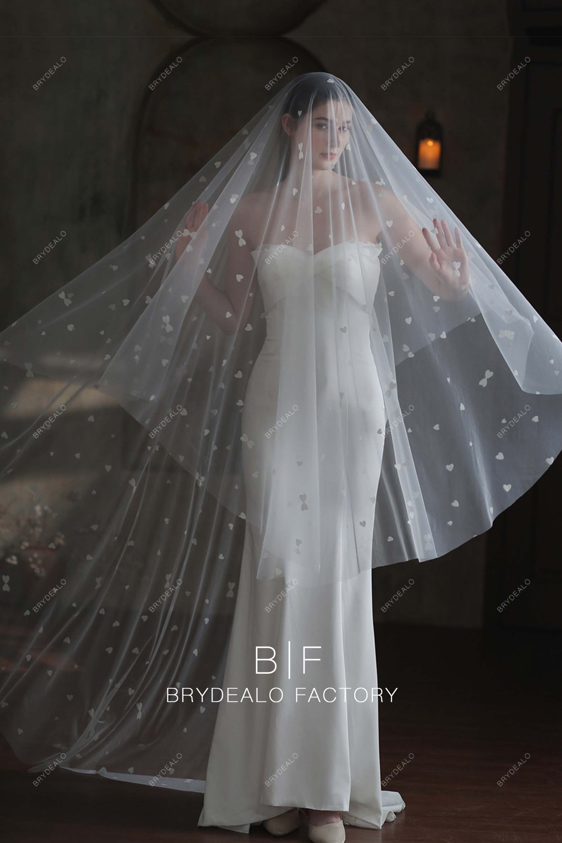 Fairy Sweetheart Tulle Single-tier Cathedral Length Bridal Veil