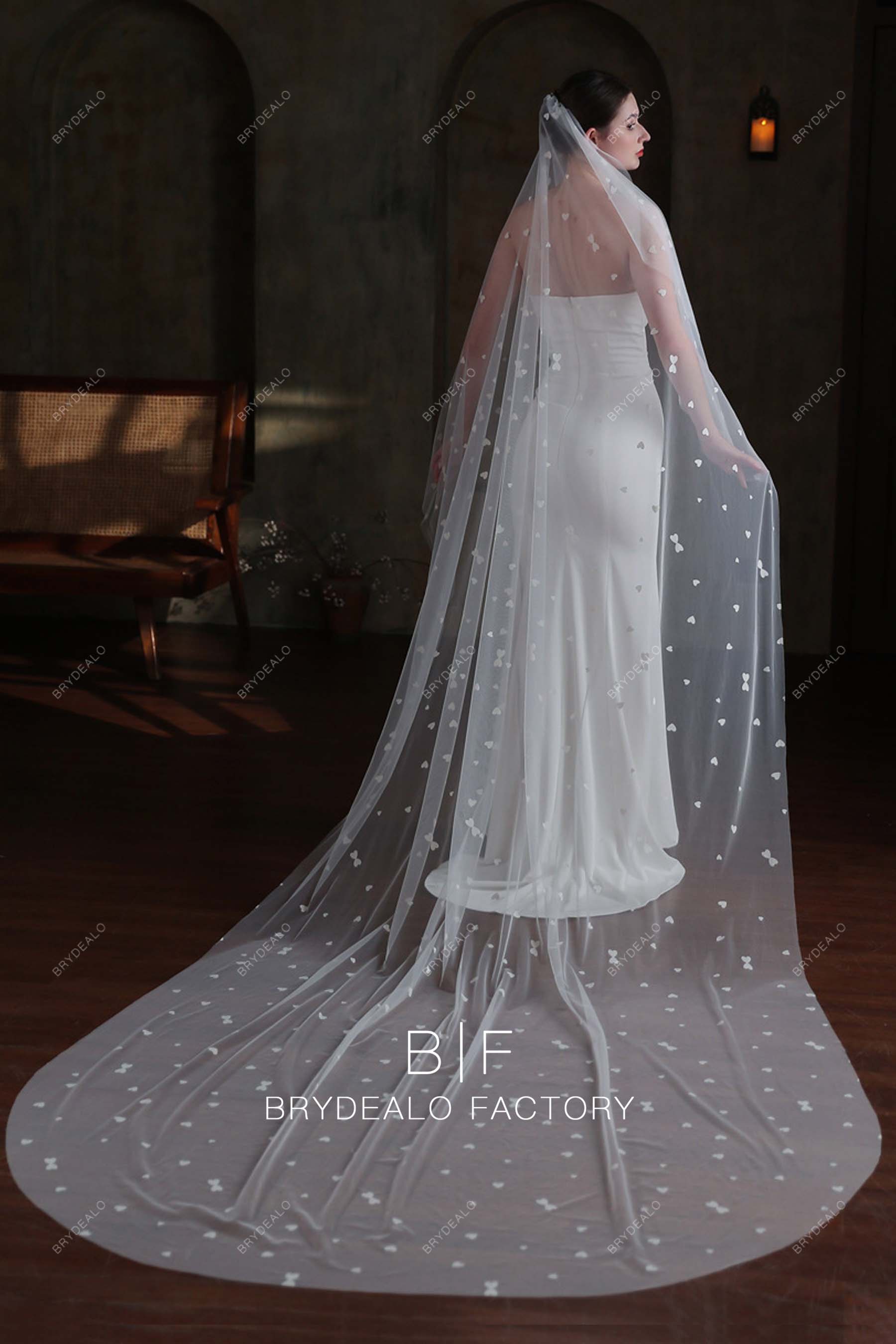 Cathedral Length Bridal Veil for Wild Wedding