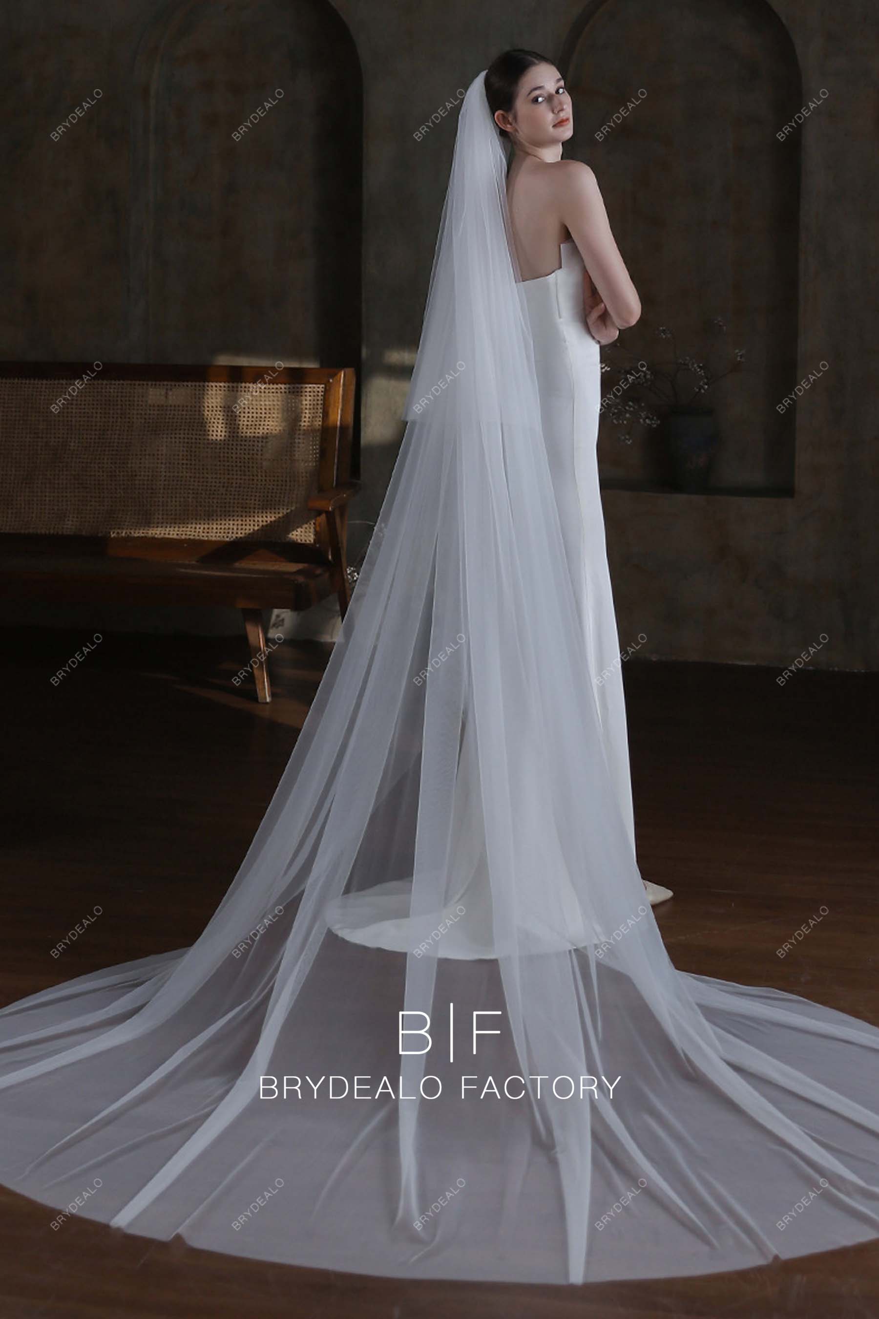 Simple Raw Cut Tulle Cathedral Length Wedding Veil