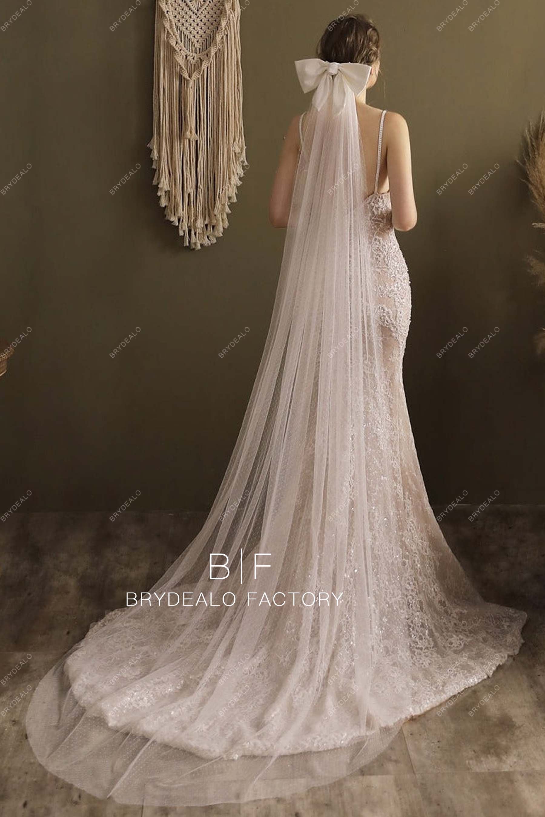Big Bow Long Bridal Veil Dotted Wedding Veil