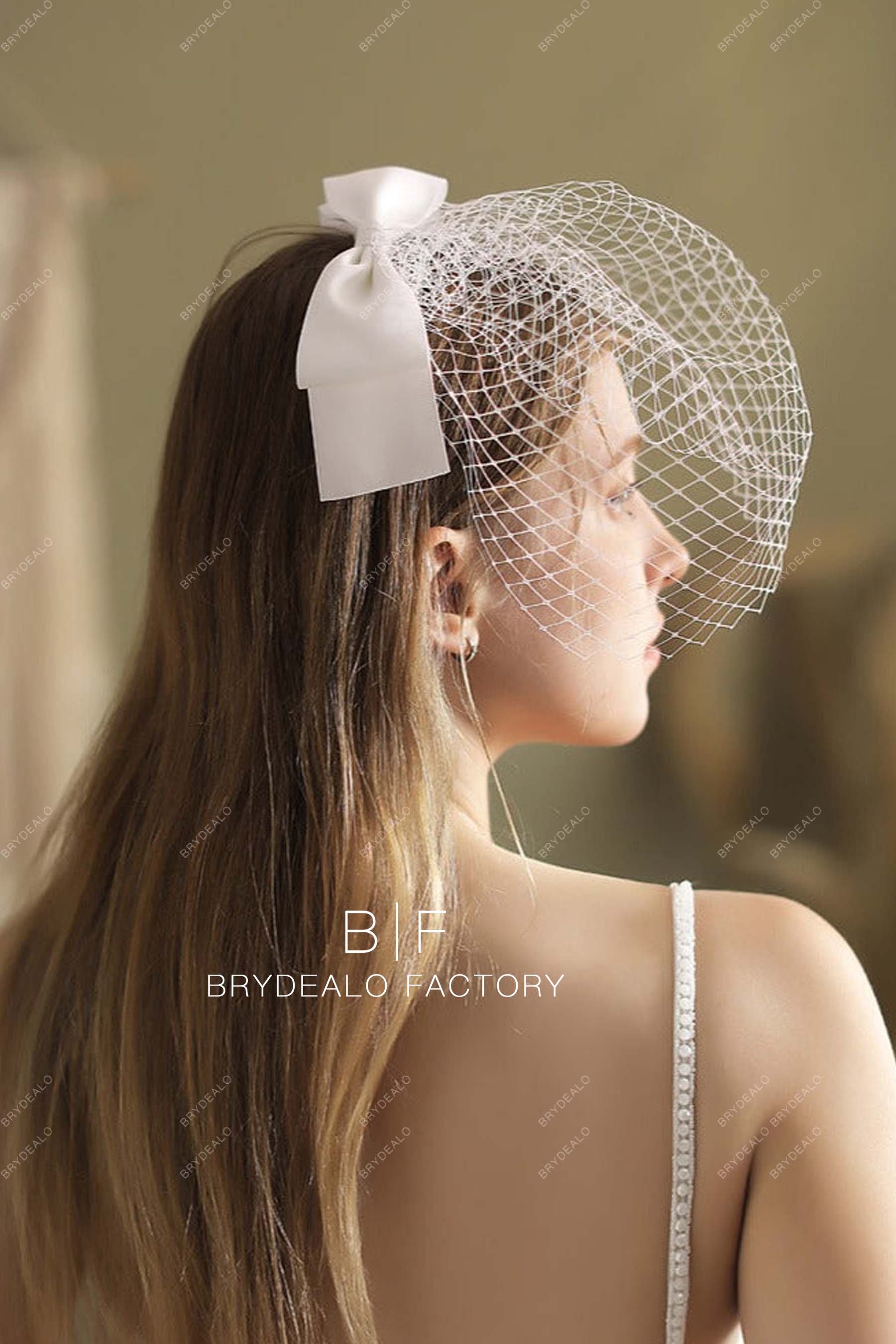 bridal birdcage veil