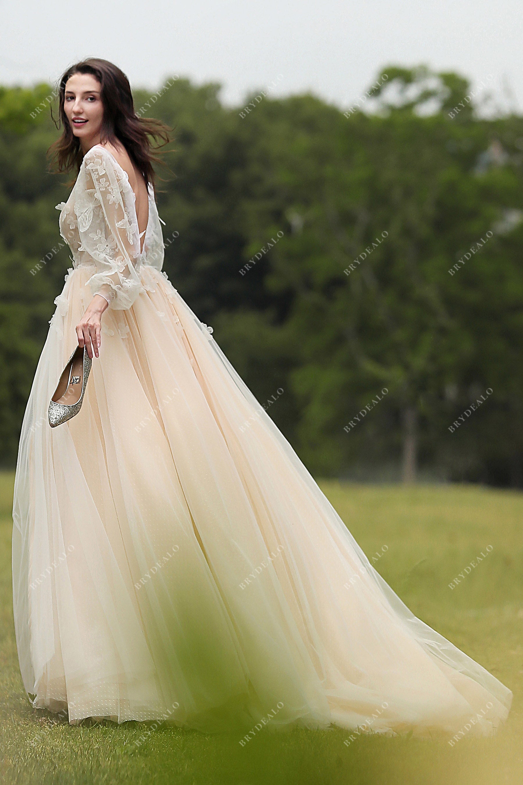  Butterfly Cinderella Wedding Gown