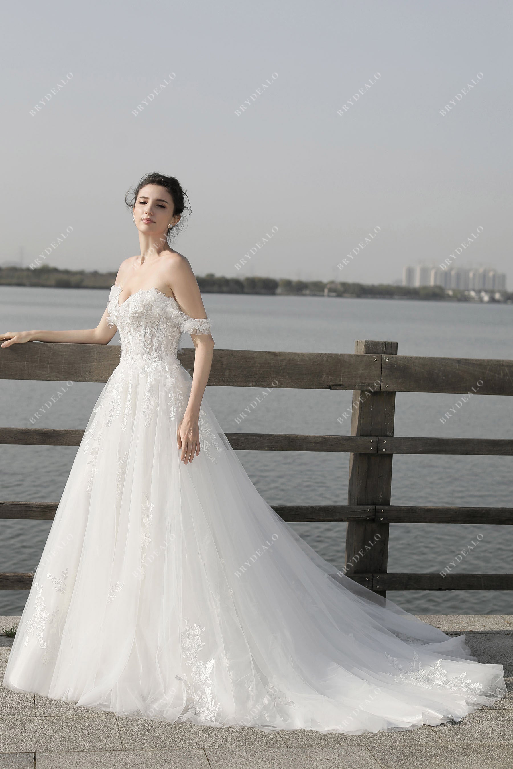 Off Shoulder Tall Plus Applique Wedding Dress | David's Bridal