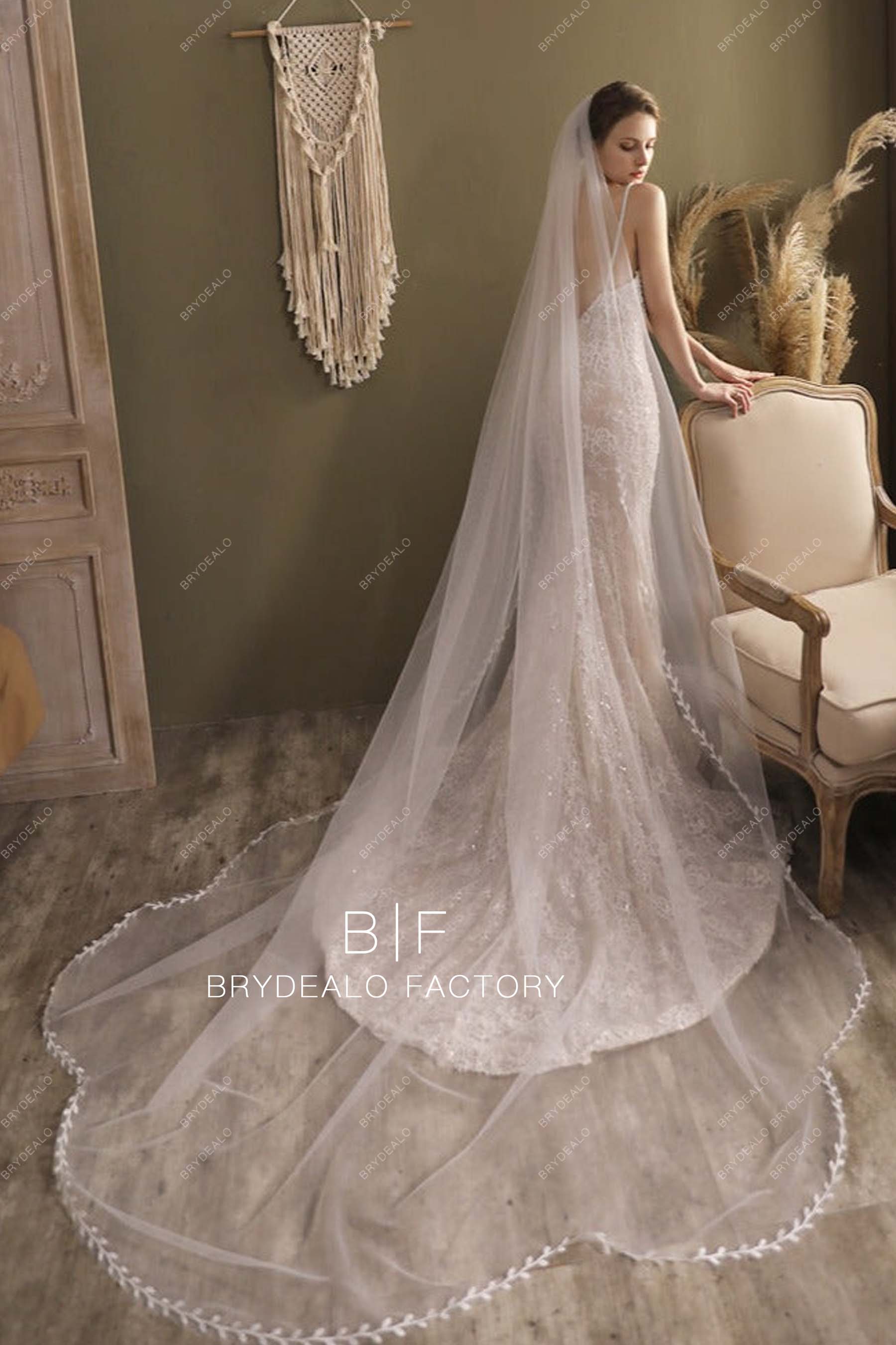 Cathedral Length Bridal Veil Cutout Lace Edge Wedding Veil
