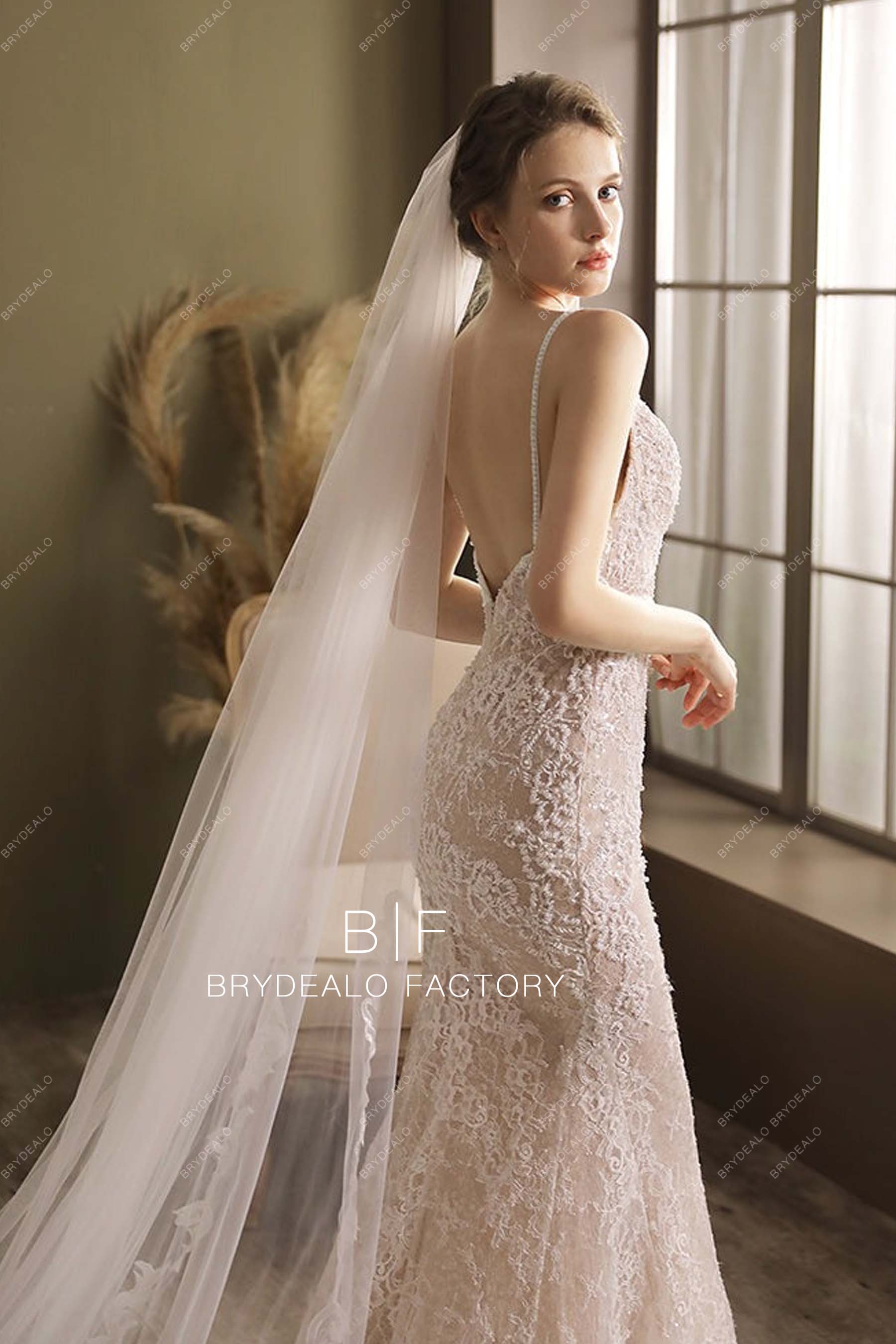 Tulle Long Bridal Veil