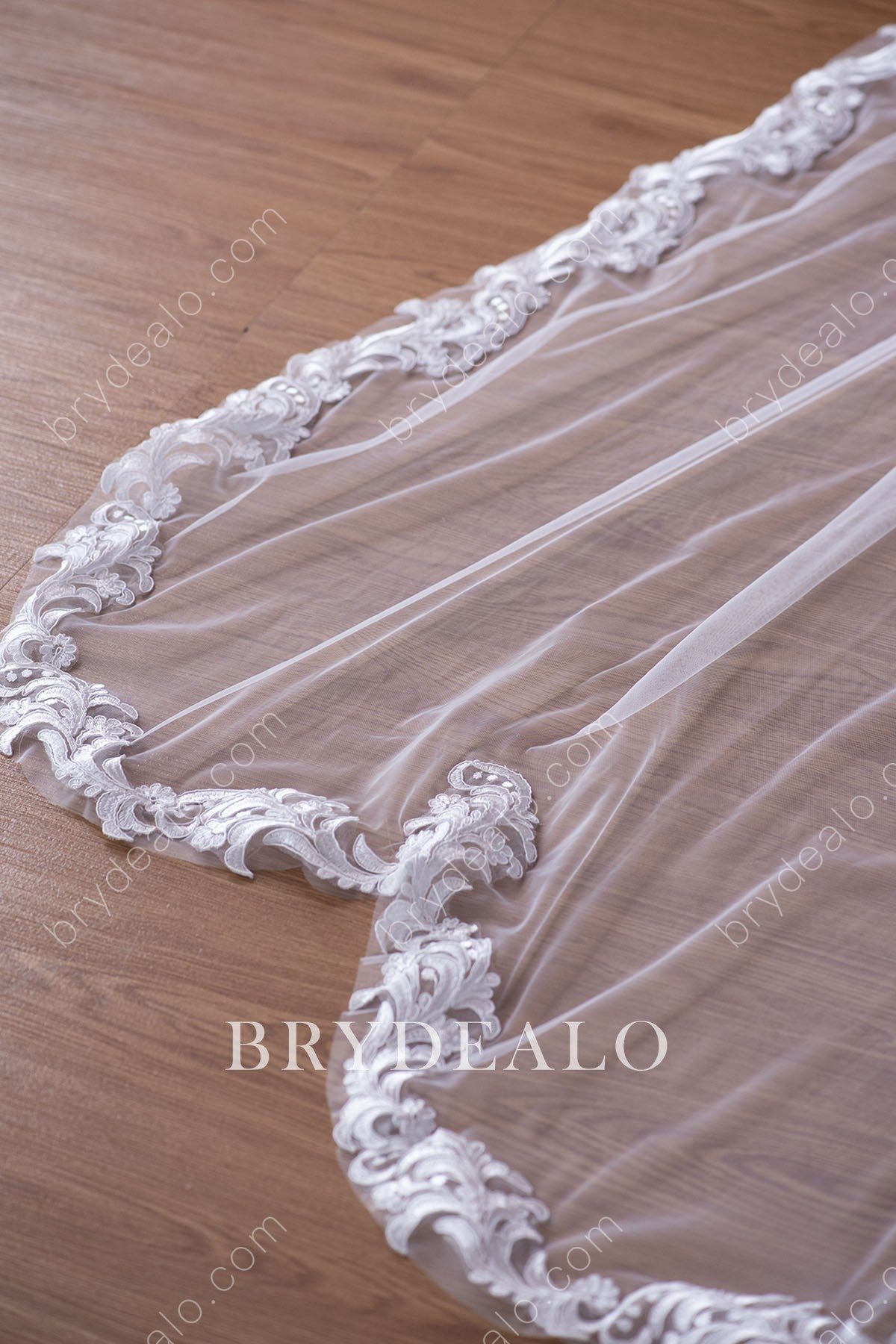 beautiful lace bridal veil