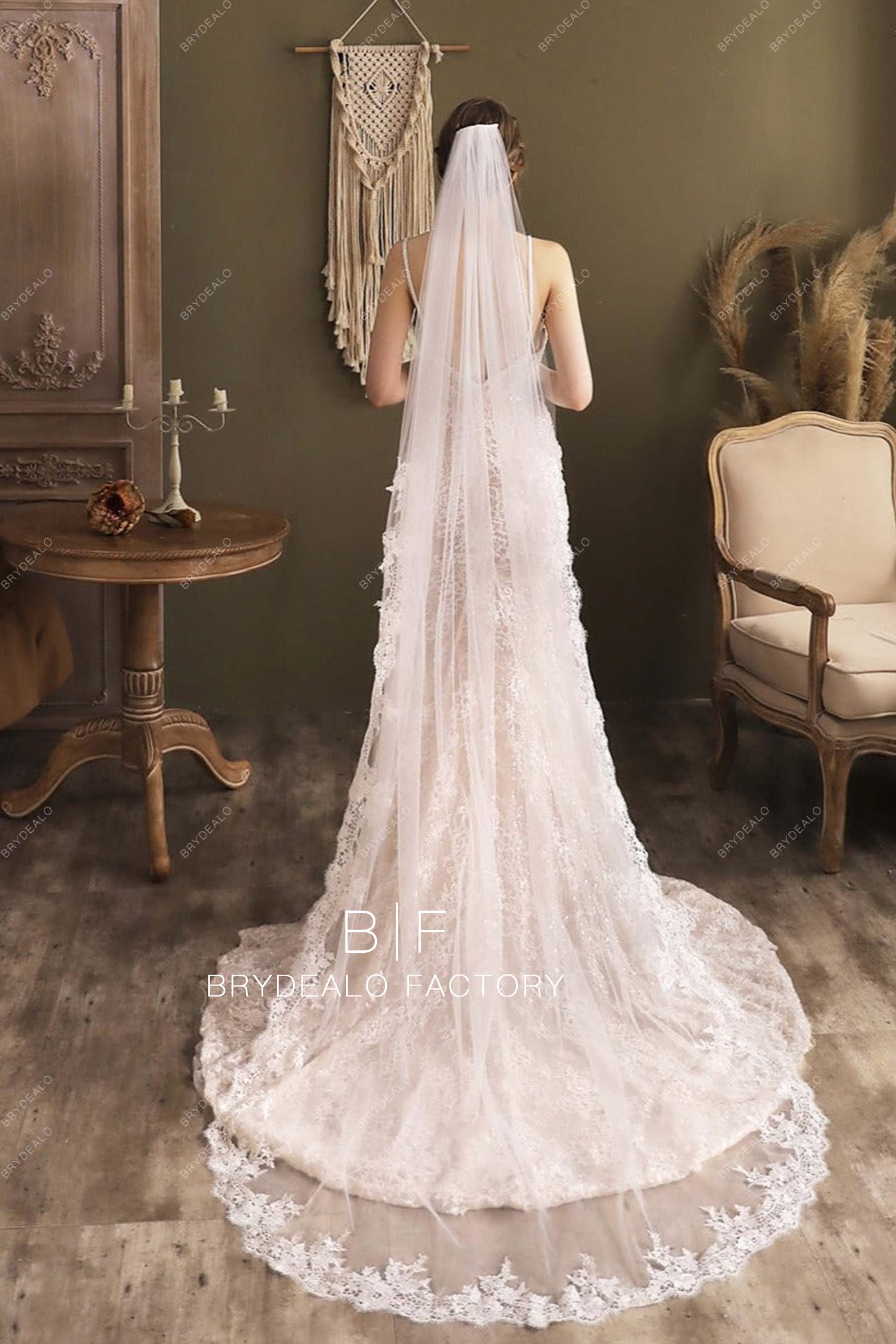 https://brydealofactory.com/cdn/shop/products/floral-lace-trim-long-bridal-veil.jpg?v=1670390925&width=1800