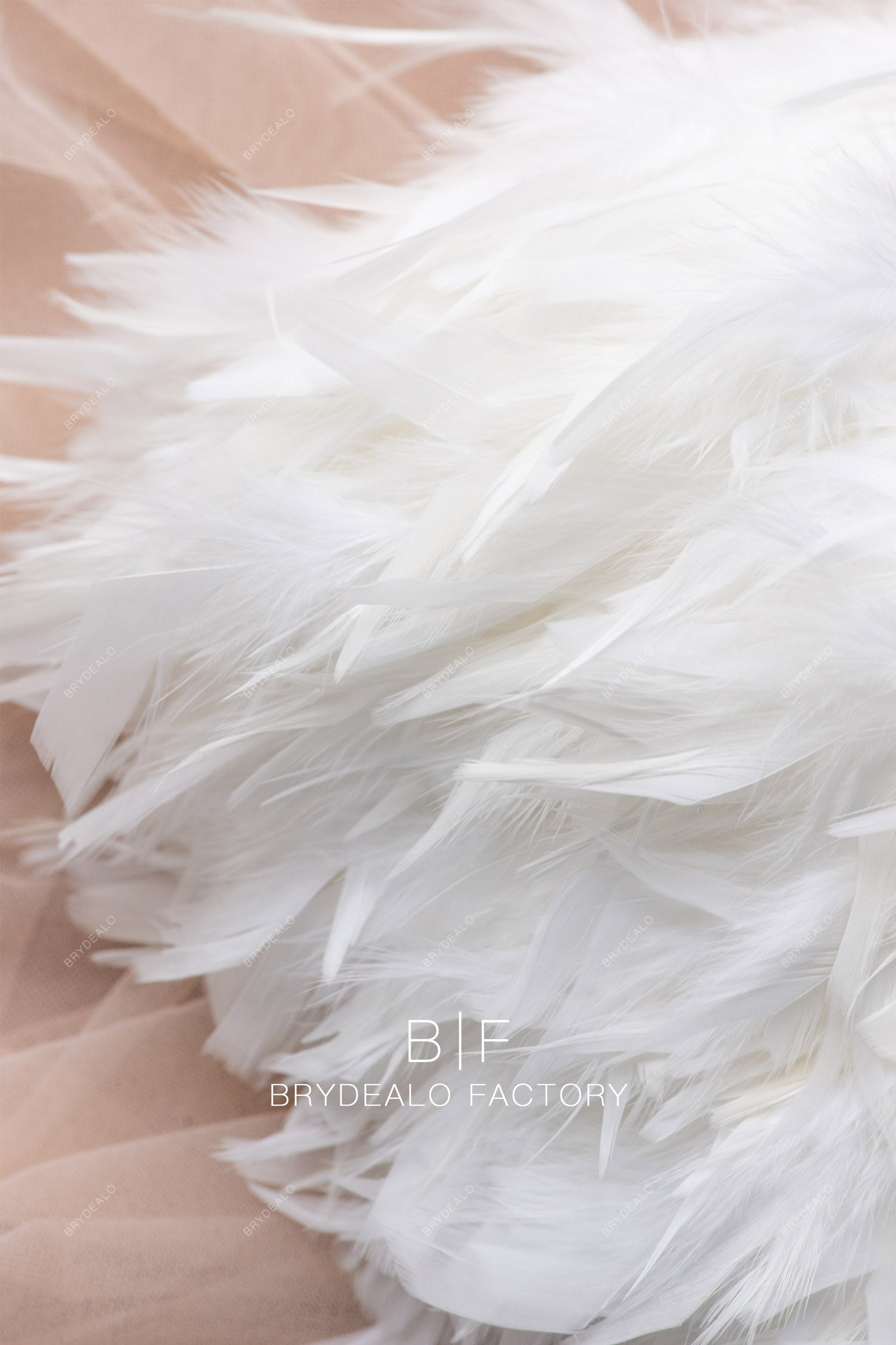 fluffy turkey feathers