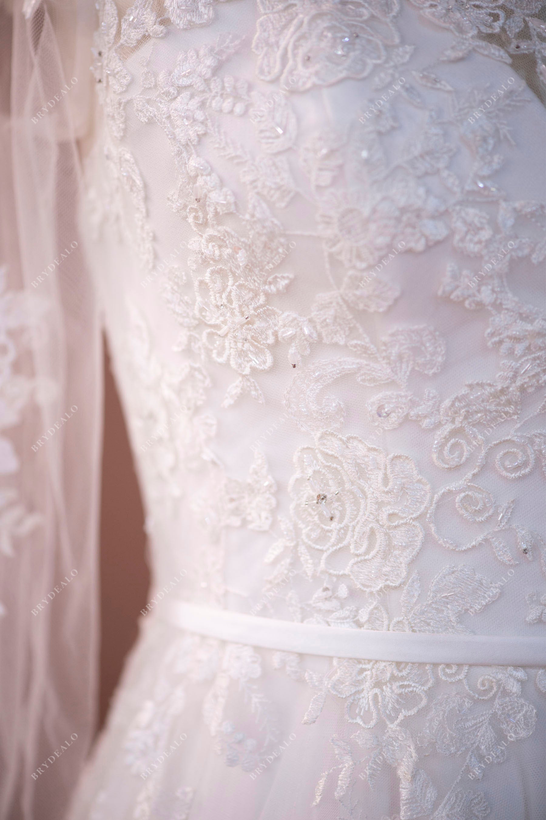 Plus Size Illusion A-line Lace Wedding Dress