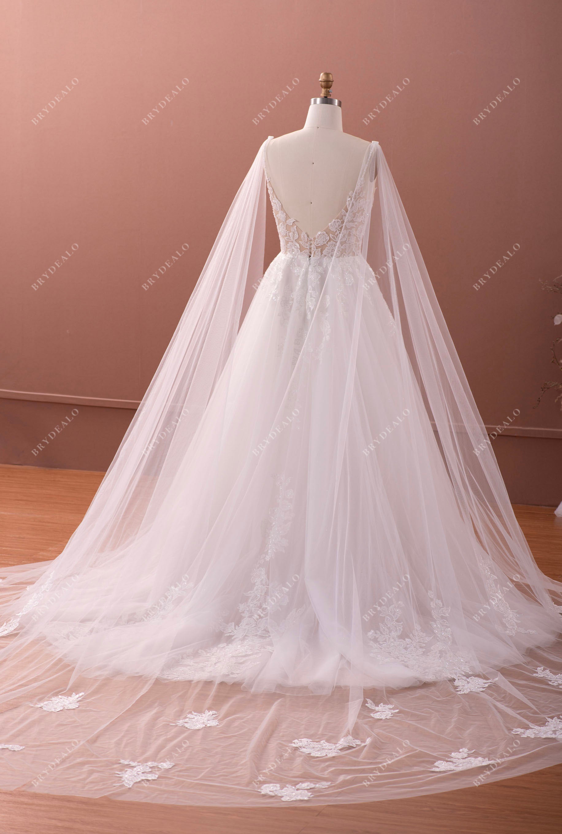 shoulder veil V-back wedding gown