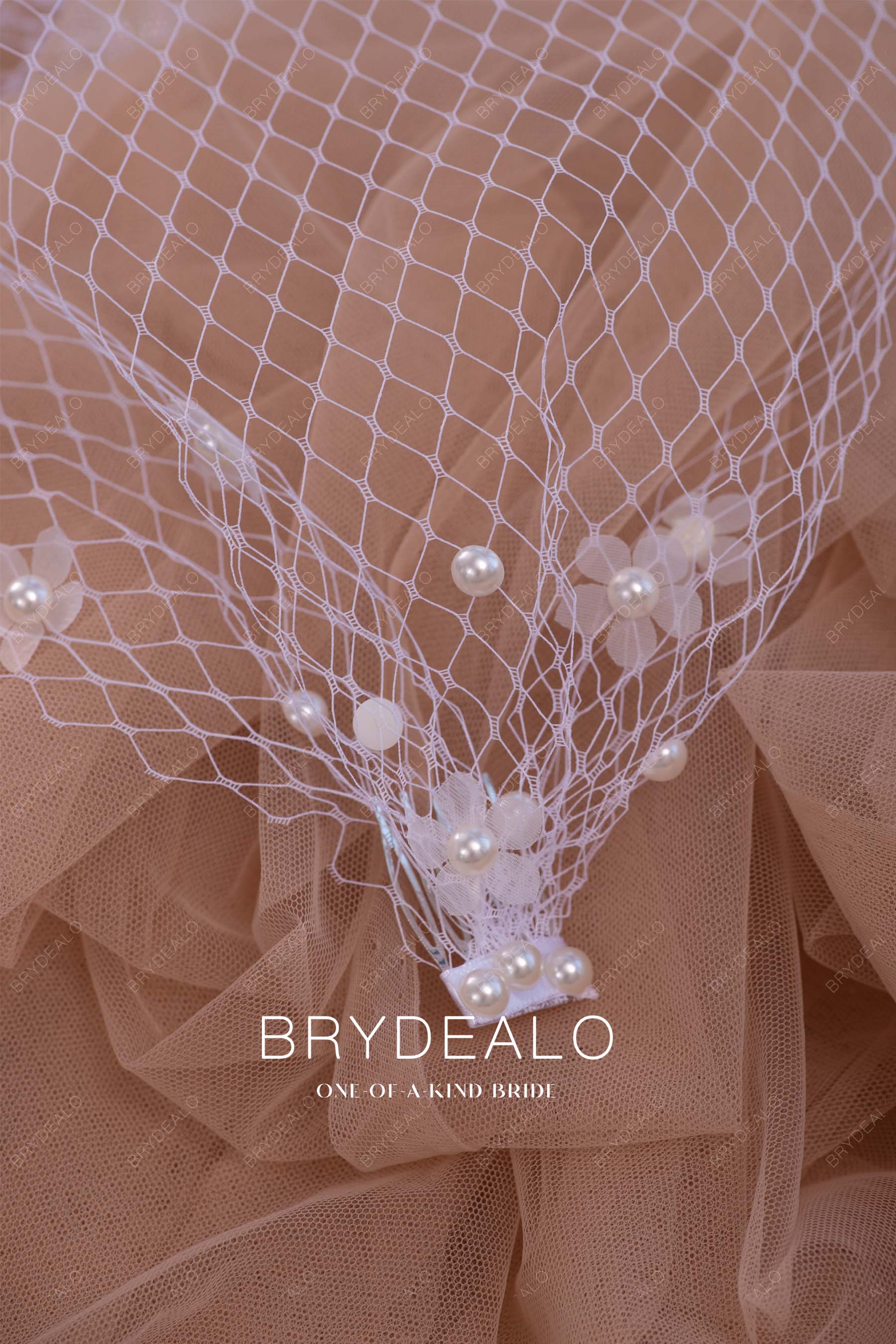 net birdcage veil with combs