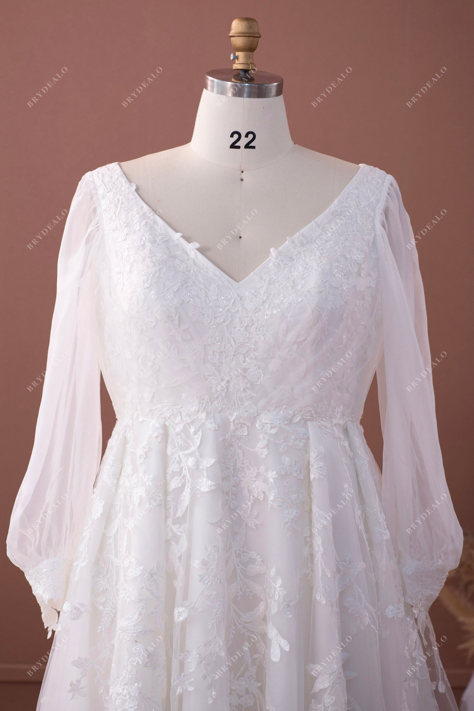 V-neck sleeves lace wedding gown
