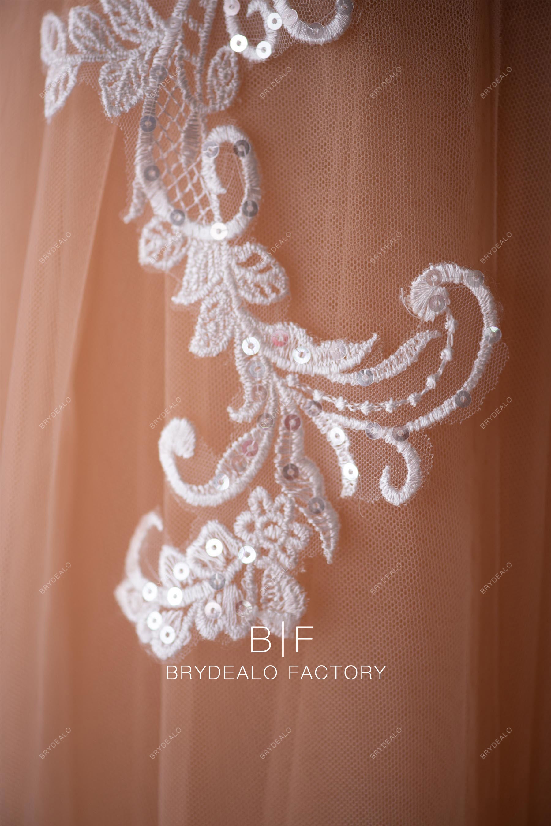shimmery embroidery lace applique