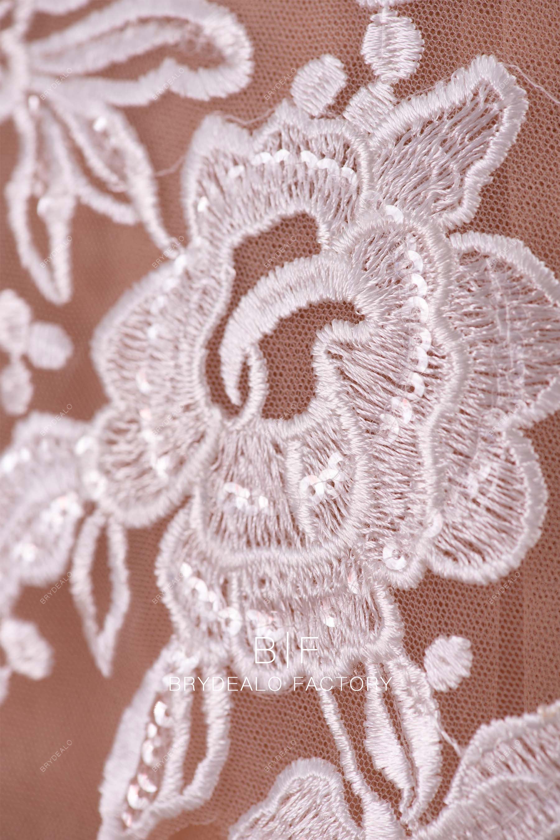 shimmery lace appliques